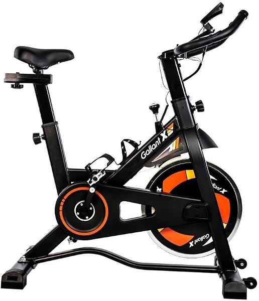 Bicicleta Ergométrica Gallant Elite X